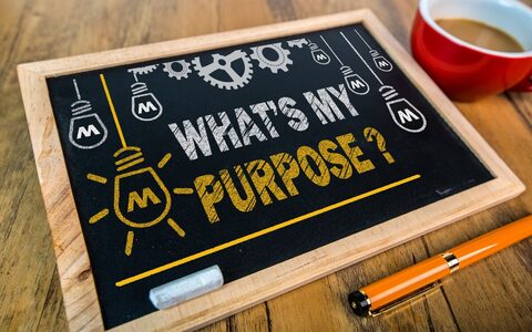 A Brand with a Purpose